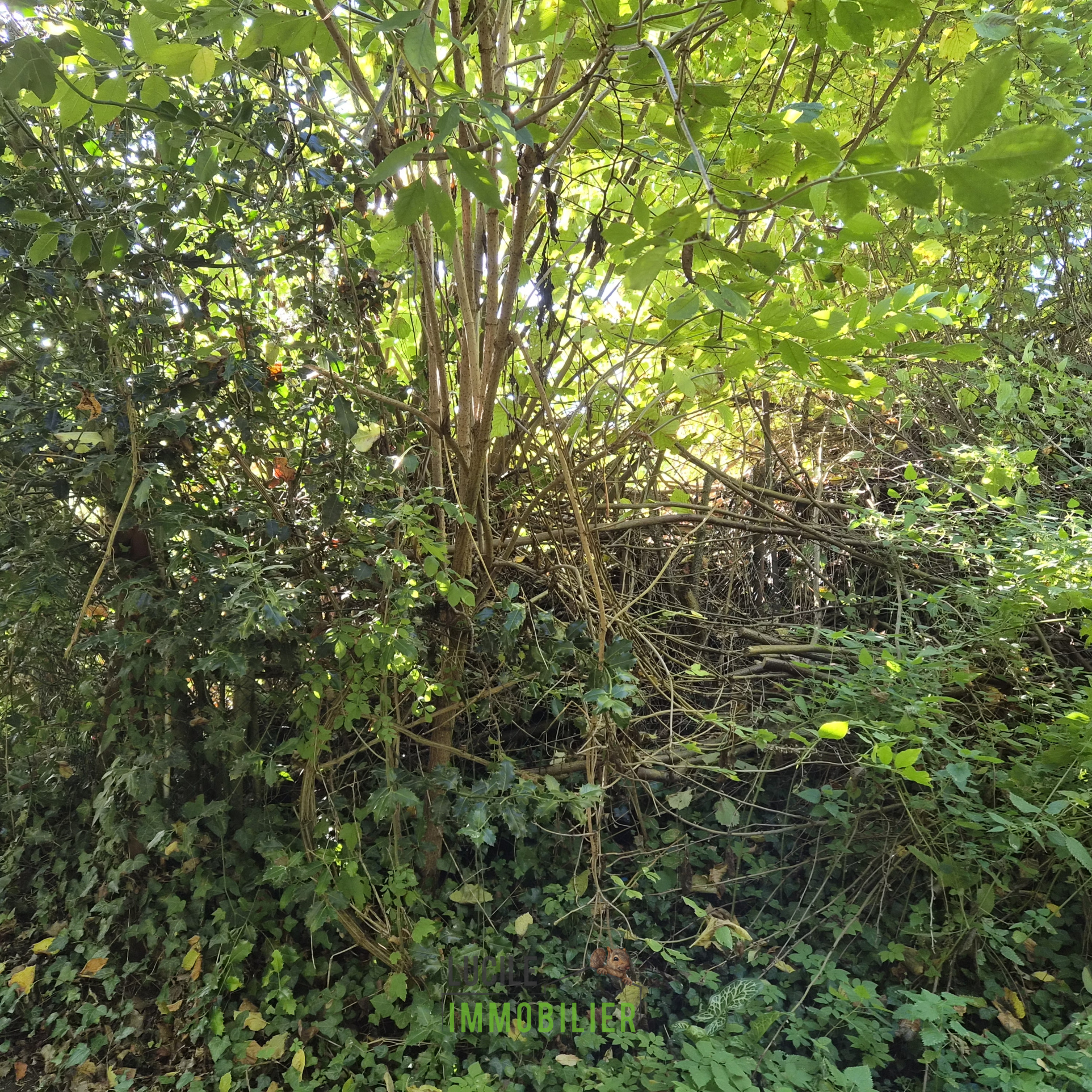Terrain à vendre à Clermont, 390 m² – photo 2 sur 3